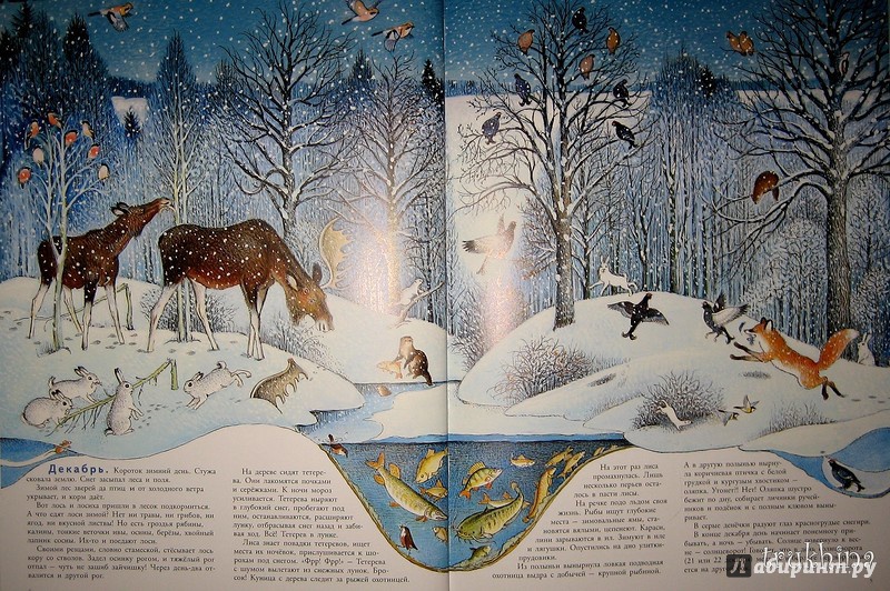 Иллюстрация 14 из 109 для В лесу - Петр Багин | Лабиринт - книги. Источник: Трухина Ирина