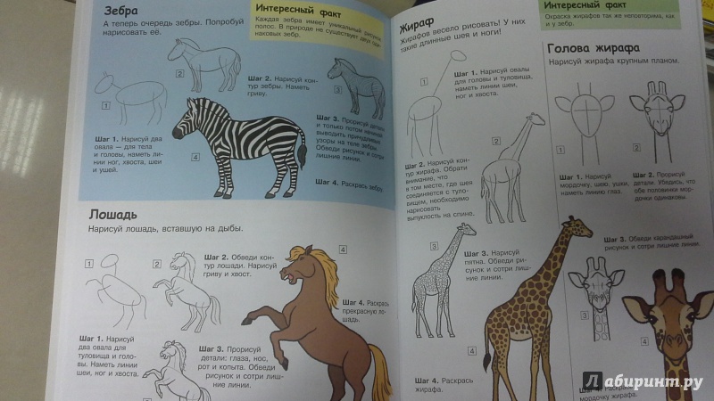 Иллюстрация 14 из 15 для Учимся рисовать. Животные | Лабиринт - книги. Источник: Теплова  Юлия