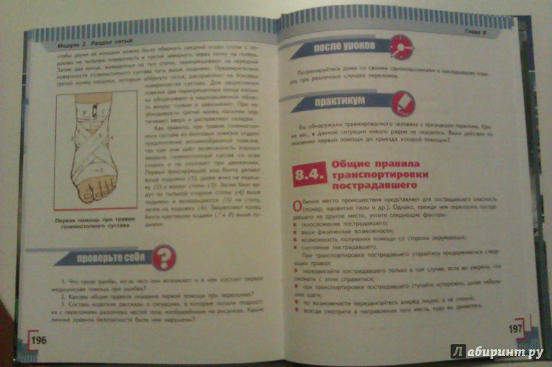 Иллюстрация 12 из 13 для ОБЖ. 7 класс. Учебник (+CD) - Смирнов, Хренников | Лабиринт - книги. Источник: Никонов Даниил