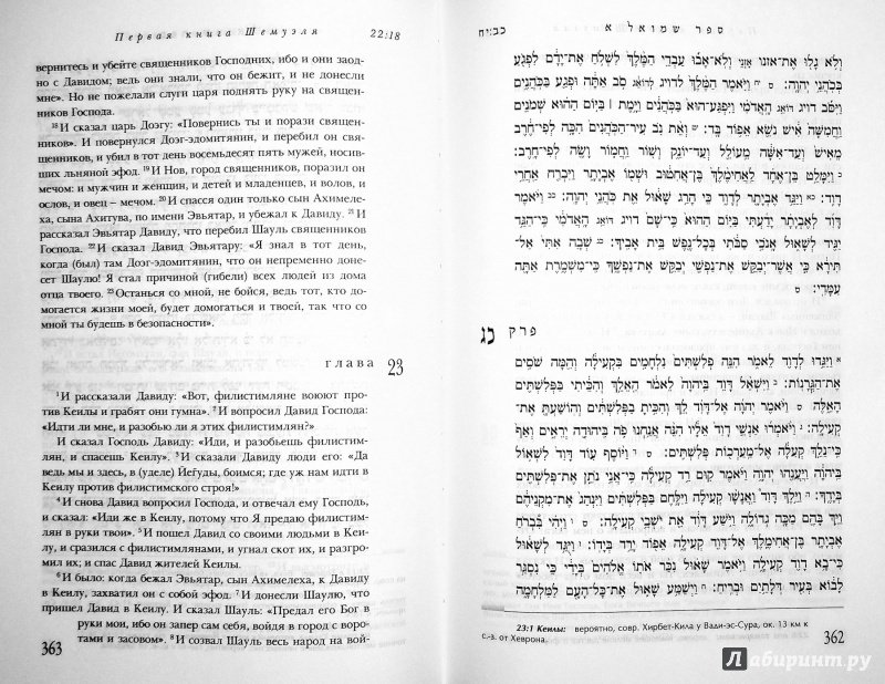Иллюстрация 5 из 8 для Еврейская Библия. Ранние пророки | Лабиринт - книги. Источник: faris