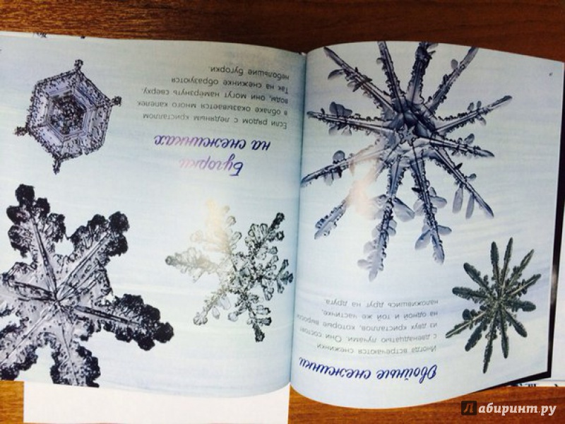 Иллюстрация 12 из 62 для Снег. Зимнее чудо - Кассино, Нельсон | Лабиринт - книги. Источник: Рыкалова  Евгения