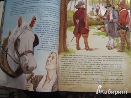 Иллюстрация 22 из 23 для Сказки - Гримм Якоб и Вильгельм | Лабиринт - книги. Источник: Notaben