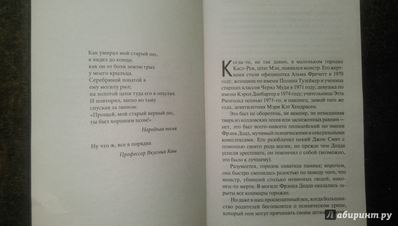 Иллюстрация 17 из 63 для Куджо - Стивен Кинг | Лабиринт - книги. Источник: Sienali