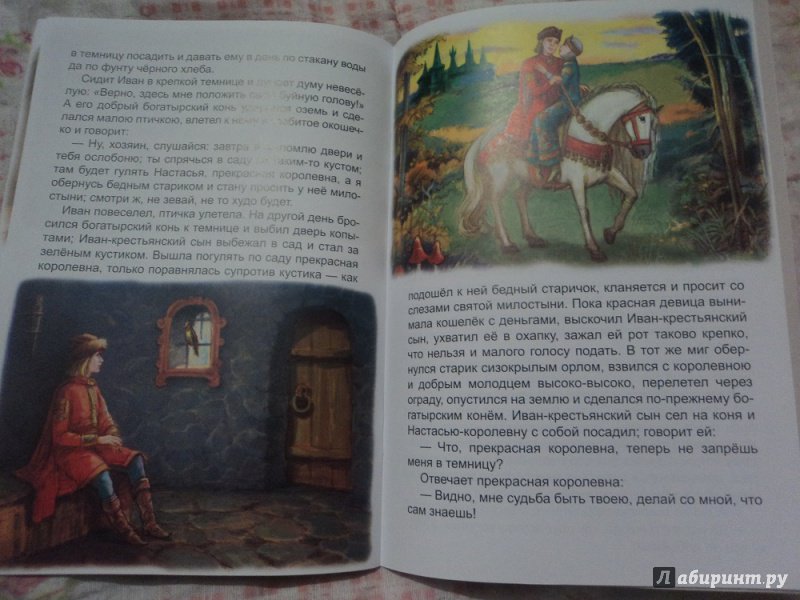 Иллюстрация 36 из 49 для Волшебный конь | Лабиринт - книги. Источник: Alexsis