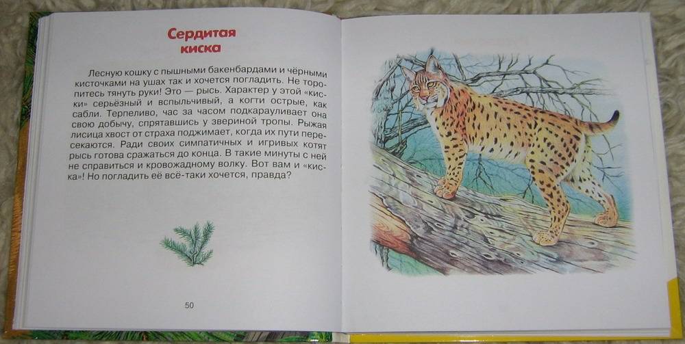 Иллюстрация 6 из 9 для Про зверят - Александр Тихонов | Лабиринт - книги. Источник: Лора76756465