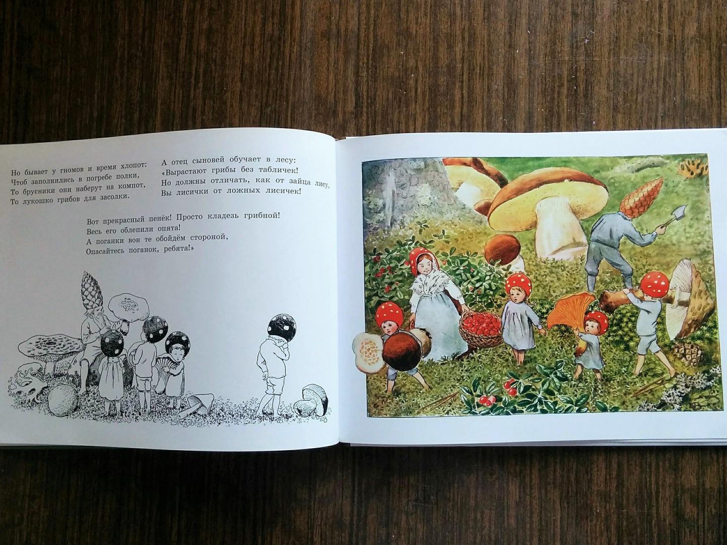 Иллюстрация 57 из 78 для Дети лесного гнома - Эльза Бесков | Лабиринт - книги. Источник: Natalie Leigh