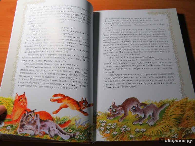 Иллюстрация 2 из 38 для Битвы племен. Путеводитель по серии "Коты-воители" - Эрин Хантер | Лабиринт - книги. Источник: XPIOK