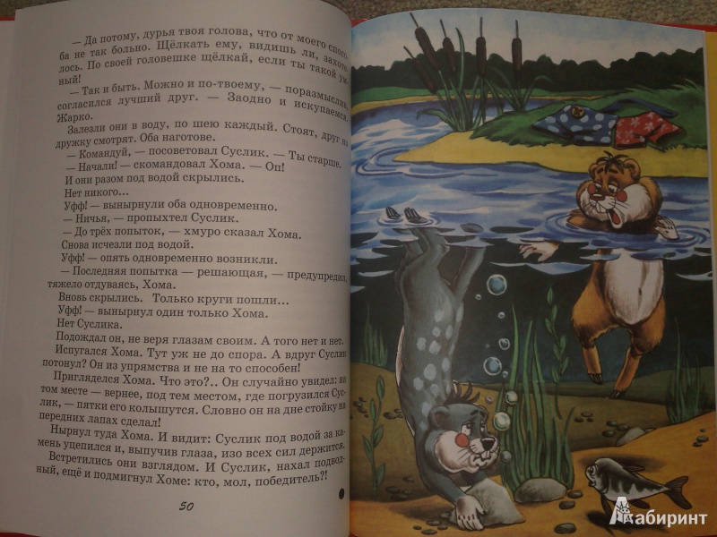 Иллюстрация 4 из 5 для Новые приключения  Хомы и Суслика - Альберт Иванов | Лабиринт - книги. Источник: PCHELKAN