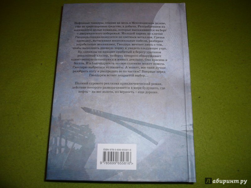 Иллюстрация 4 из 8 для Разрушитель кораблей - Паоло Бачигалупи | Лабиринт - книги. Источник: very_nadegata