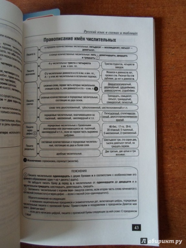 Иллюстрация 12 из 21 для Русский язык в схемах и таблицах - Борисов, Березина | Лабиринт - книги. Источник: Rachel