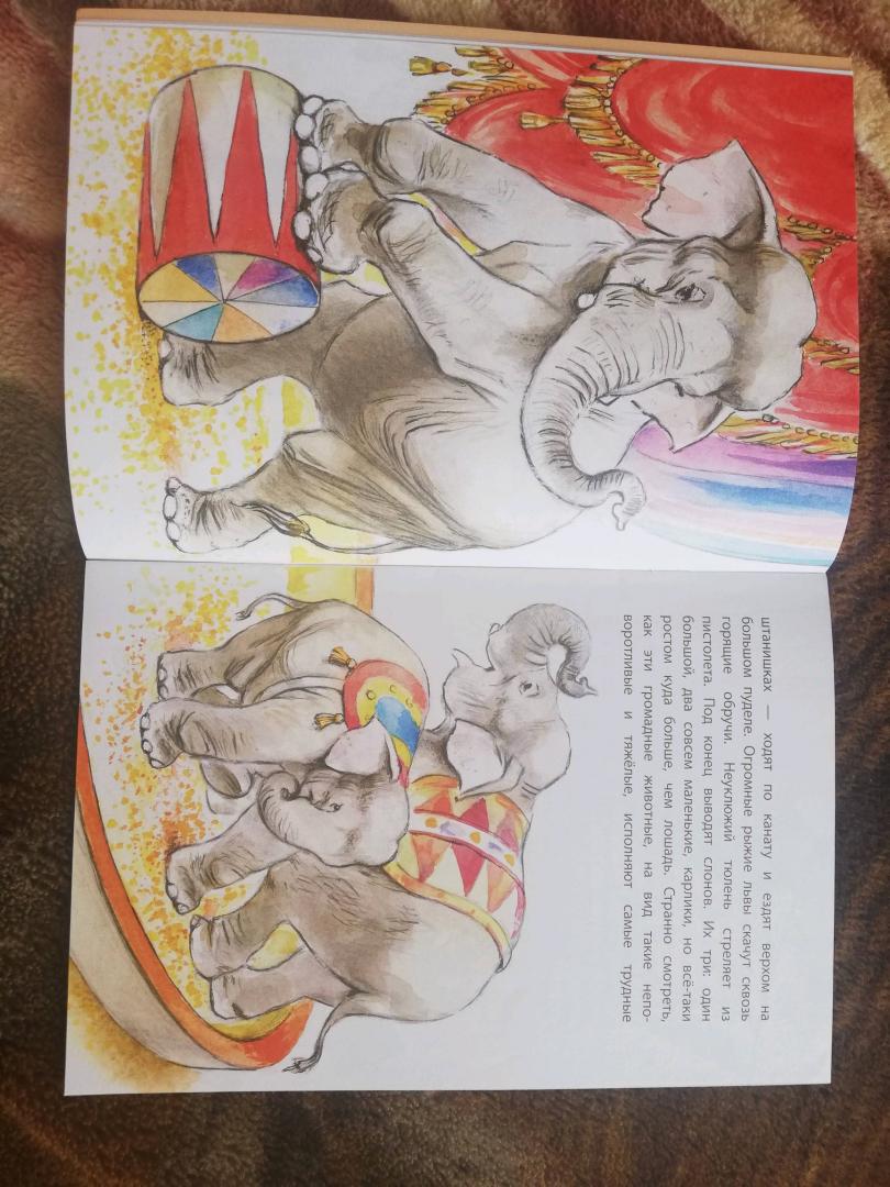 Иллюстрация 28 из 29 для Слон - Александр Куприн | Лабиринт - книги. Источник: Azarchenkova Anastasia