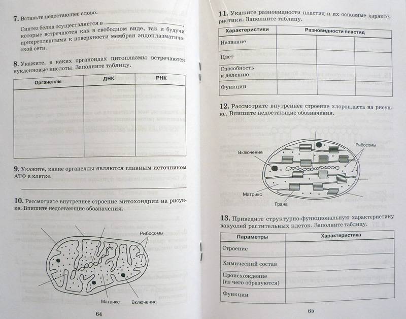 Биология 9 класс цибулевский. Биология Общие закономерности 9 класс рабочая тетрадь Захаров. Биология 9 класс Бодрова. Рабочая тетрадь по биологии 9 класс Общие закономерности. Биология 9 класс Общие закономерности рабочая тетрадь гдз.