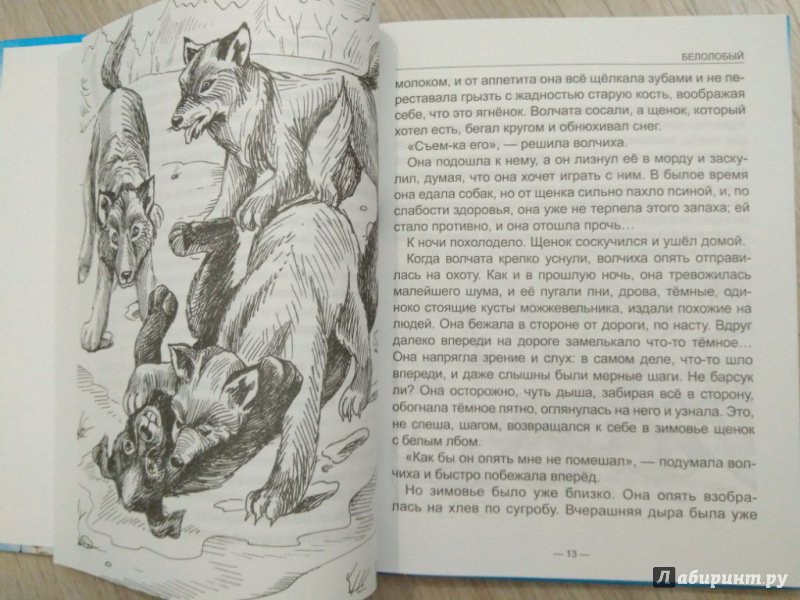 Книга чехова белолобый. Волчата и щенок изложение. Рассказ белолобый Чехов.