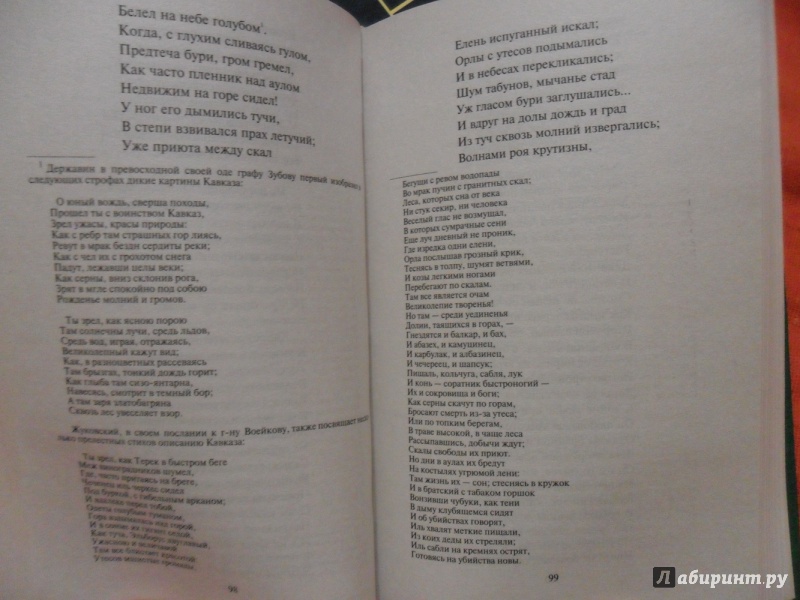 Иллюстрация 14 из 18 для Полное собрание поэм и сказок - Александр Пушкин | Лабиринт - книги. Источник: sleits