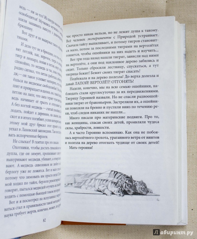 Иллюстрация 12 из 29 для Под знаком тигра - Олег Вороной | Лабиринт - книги. Источник: Кутукова  Галина