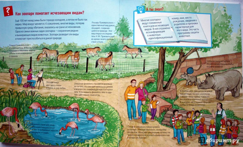 Иллюстрация 22 из 40 для Животные в зоопарке - Забине Шук | Лабиринт - книги. Источник: Сидоренко  Сергей