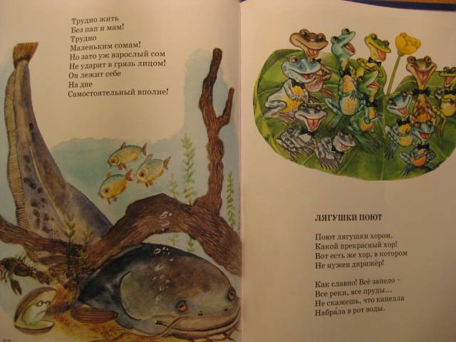 Иллюстрация 11 из 16 для Школа для птенцов - Борис Заходер | Лабиринт - книги. Источник: Сонтьяжка