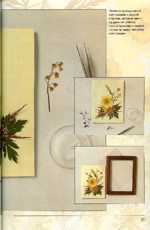 Иллюстрация 27 из 28 для Оригинальные картины из цветов и листьев - Анна Лузи | Лабиринт - книги. Источник: Росинка