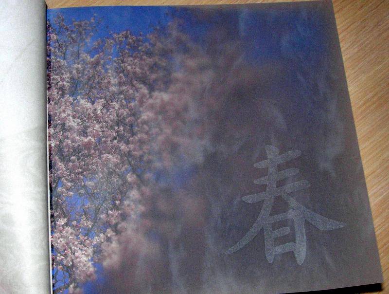 Иллюстрация 6 из 30 для Япония. Снег. Луна. Цветы...: сборник | Лабиринт - книги. Источник: Rocio