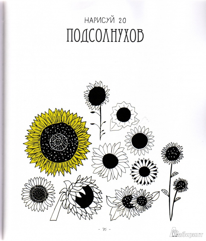 Иллюстрация 30 из 38 для 20 способов нарисовать тюльпан и 44 других прекрасных цветка - Лиза Конгдон | Лабиринт - книги. Источник: Трубадур