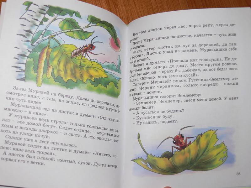 Иллюстрация 17 из 29 для Насекомьи сказки - Мамин-Сибиряк, Бианки | Лабиринт - книги. Источник: Irbis