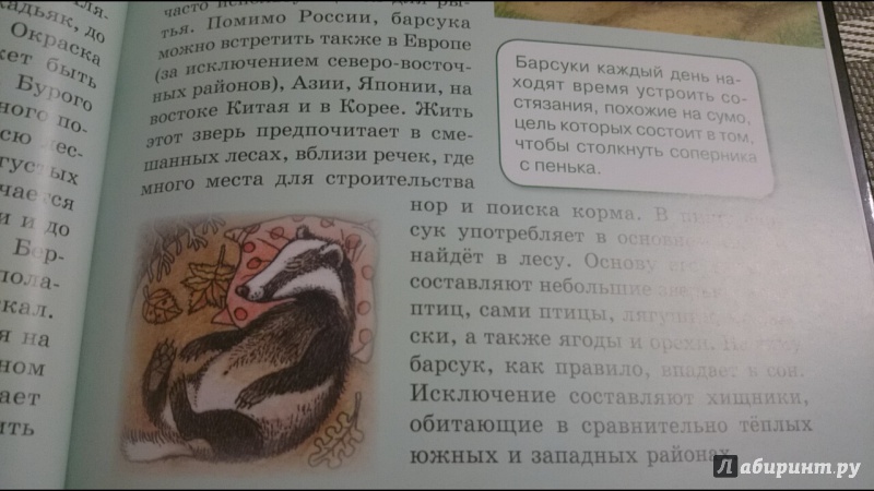 Иллюстрация 33 из 64 для Млекопитающие | Лабиринт - книги. Источник: anka46