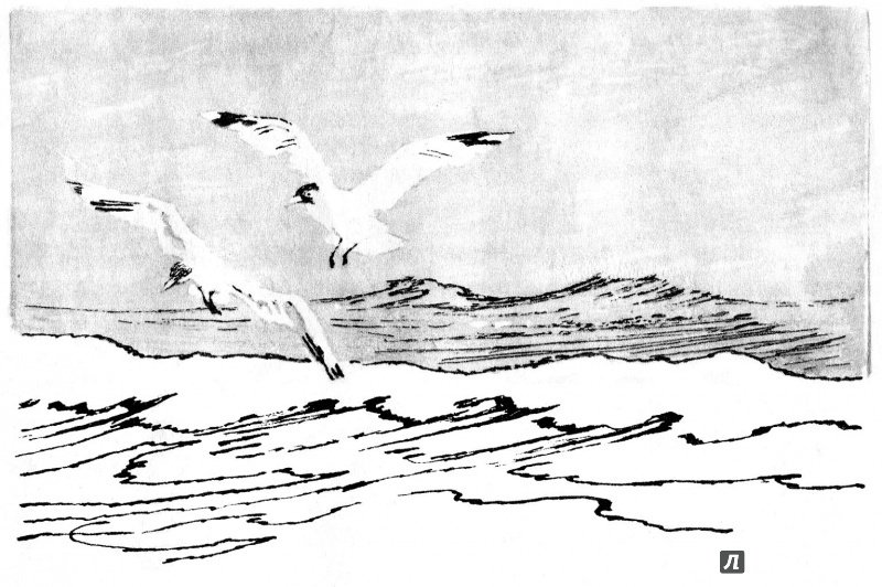 Иллюстрация 13 из 53 для Необыкновенный заплыв - Николай Рыжих | Лабиринт - книги. Источник: Евстратовы  Ва