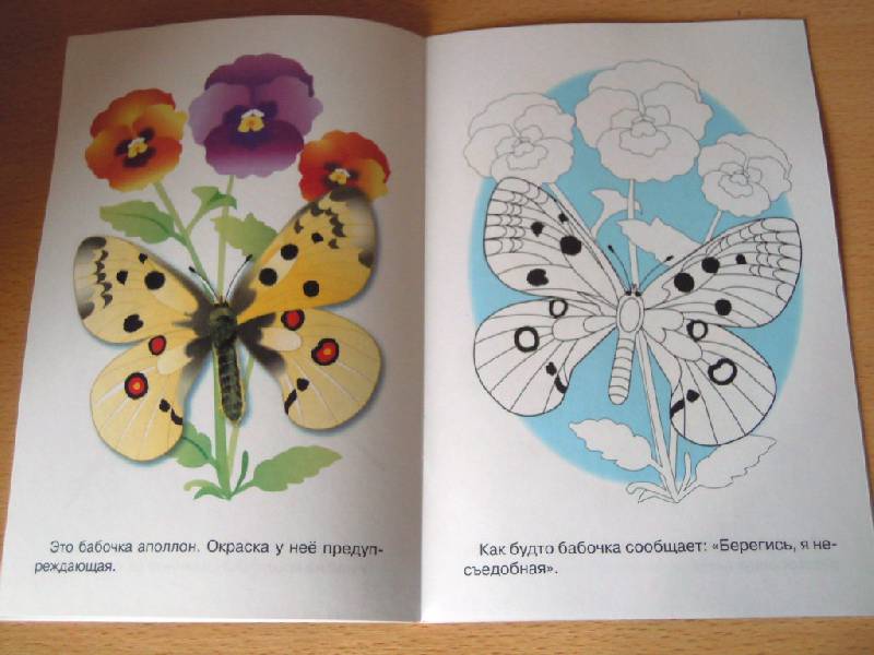 Иллюстрация 5 из 6 для Раскраска. Бабочки | Лабиринт - книги. Источник: Iwolga