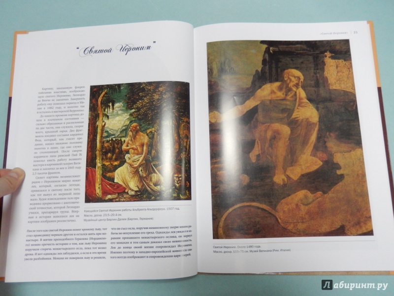 Иллюстрация 12 из 23 для Леонардо да Винчи - Андрей Борисюк | Лабиринт - книги. Источник: dbyyb
