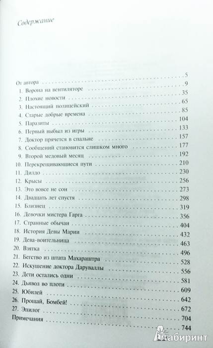 Иллюстрация 10 из 10 для Сын цирка - Джон Ирвинг | Лабиринт - книги. Источник: Леонид Сергеев