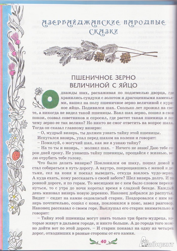 Иллюстрация 6 из 17 для Сказки народов Северного Кавказа | Лабиринт - книги. Источник: Ёжик