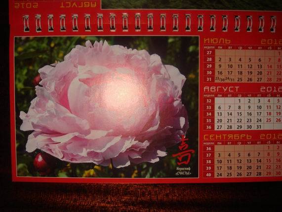 Иллюстрация 17 из 20 для Календарь 2012 "Календарь счастья и удачи" (19210) | Лабиринт - сувениры. Источник: gekky_N