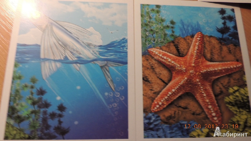 Иллюстрация 3 из 32 для Обитатели морей и океанов | Лабиринт - игрушки. Источник: romashka200283