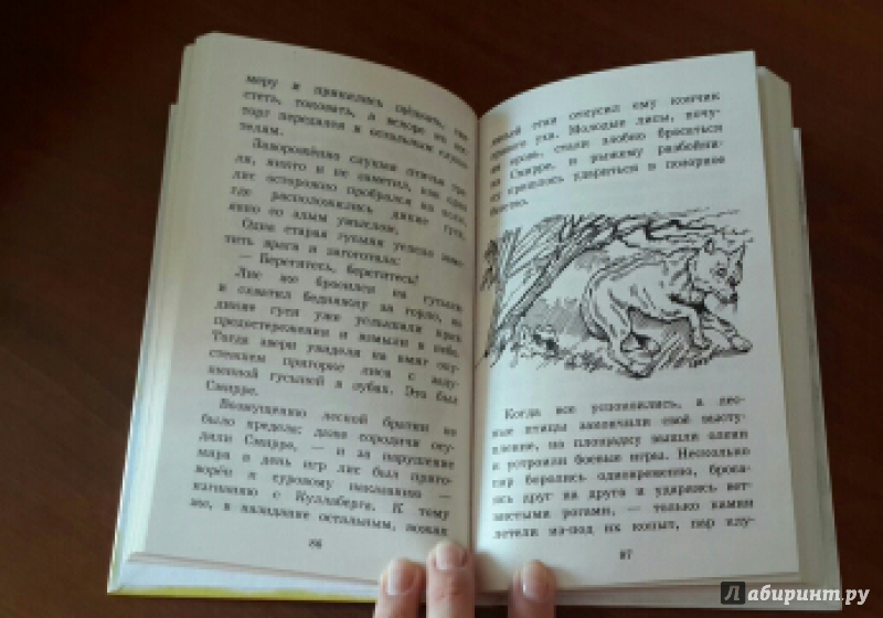 Иллюстрация 19 из 19 для Удивительное путешествие Нильса Хольгерсона с дикими гусями - Сельма Лагерлеф | Лабиринт - книги. Источник: Valeriya