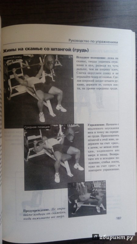Иллюстрация 7 из 8 для Идеальные мышцы тела - Филлипс, Д`Орсо | Лабиринт - книги. Источник: larroquette