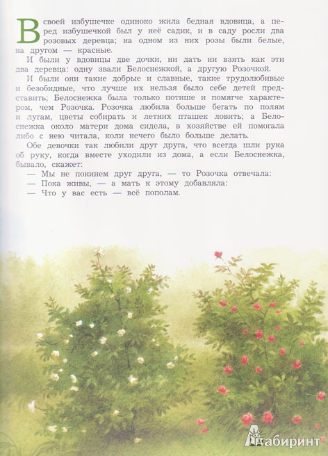 Иллюстрация 37 из 41 для Белоснежка и Розочка - Гримм Якоб и Вильгельм | Лабиринт - книги. Источник: Ёжик