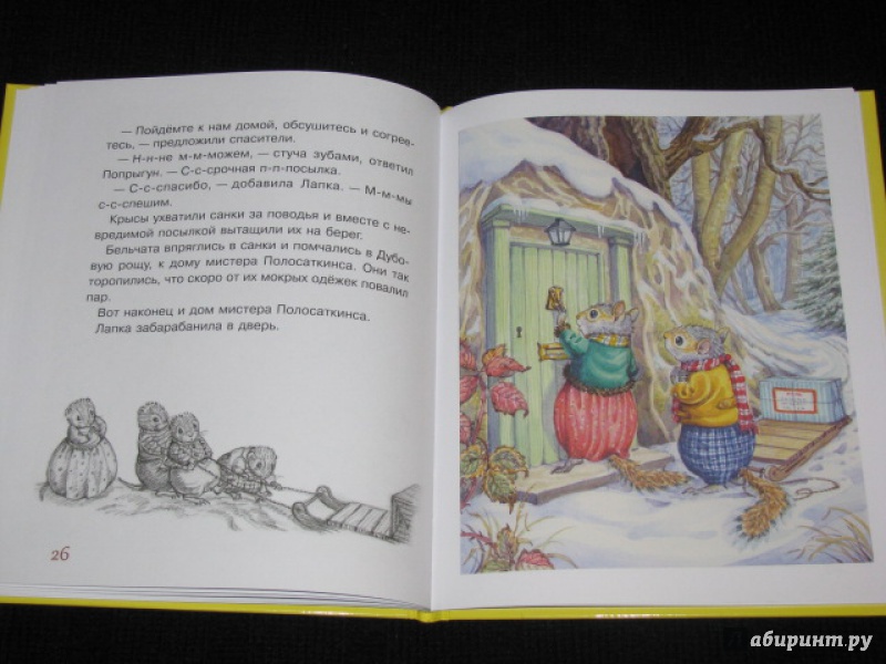 Иллюстрация 23 из 40 для Приключение новогодней посылки - Одри Таррант | Лабиринт - книги. Источник: Nemertona