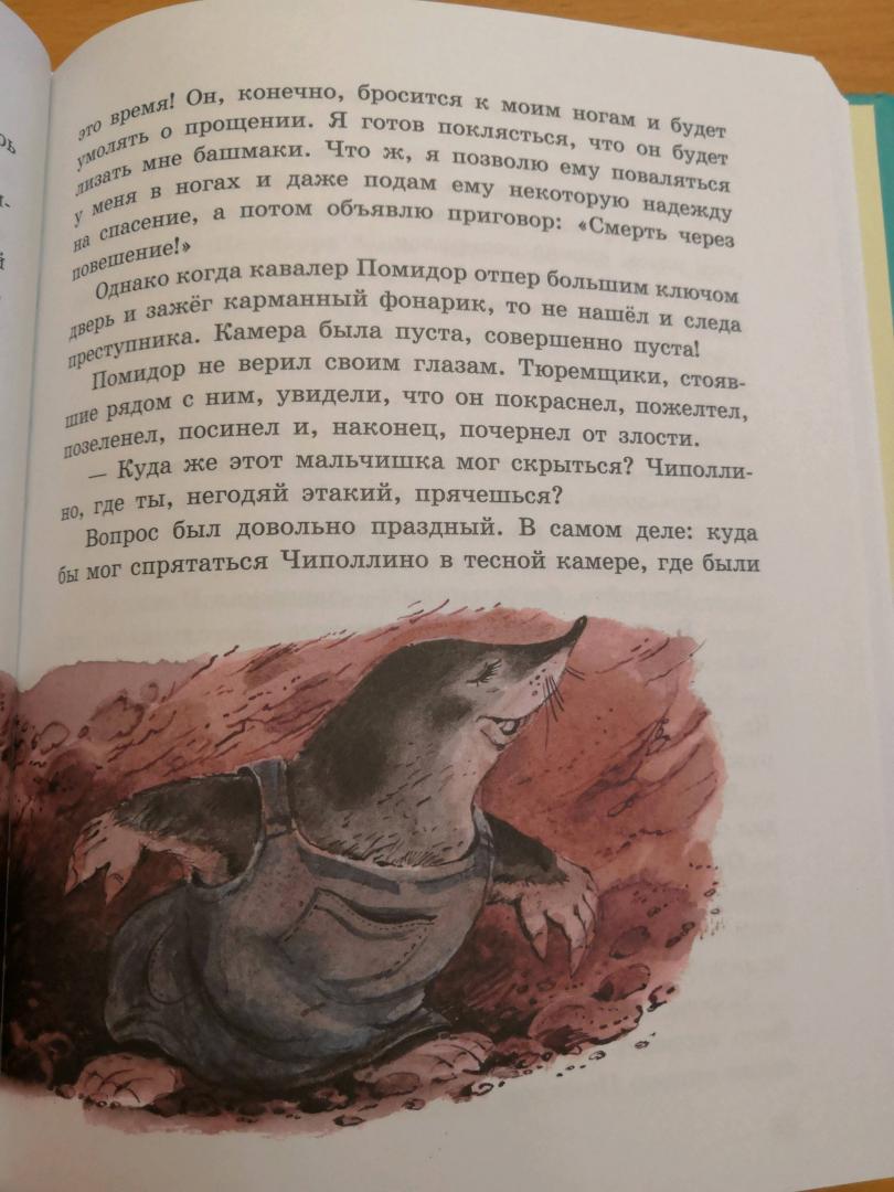 Иллюстрация 153 из 208 для Приключения Чиполлино - Джанни Родари | Лабиринт - книги. Источник: Tatiana I