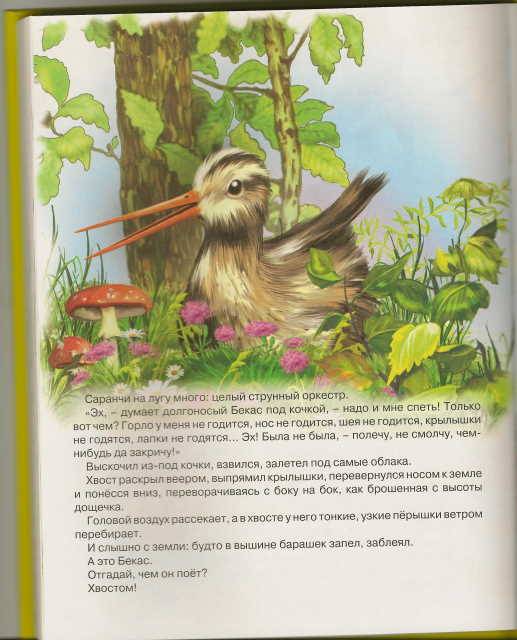Иллюстрация 11 из 23 для Сказки малышам - Виталий Бианки | Лабиринт - книги. Источник: _Елена_