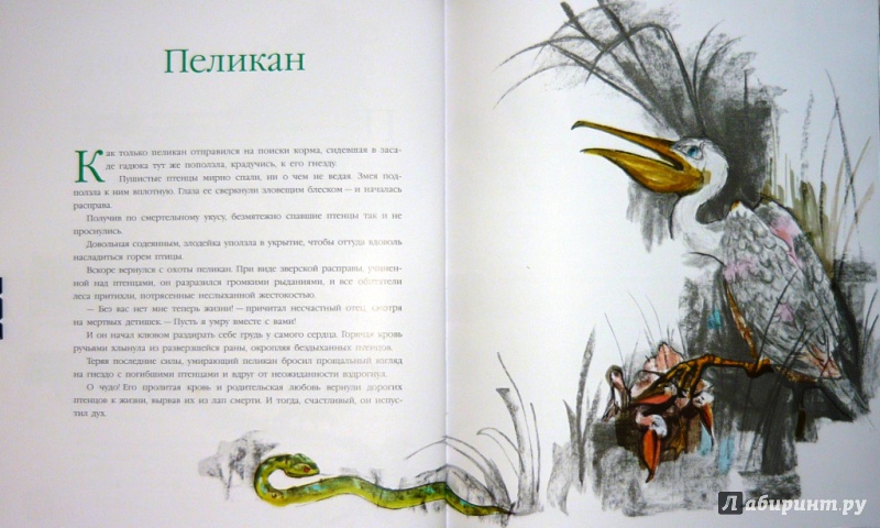 Иллюстрация 32 из 51 для Сказки и легенды - Винчи Да | Лабиринт - книги. Источник: Ромашка:-)