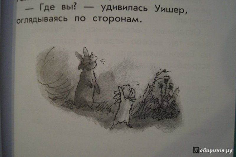 Иллюстрация 23 из 38 для Секретный туннель - Джорджи Адамс | Лабиринт - книги. Источник: Антон