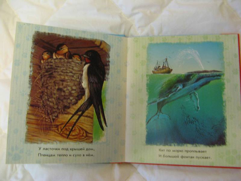Иллюстрация 6 из 18 для В небе, в море - Олеся Квитка | Лабиринт - книги. Источник: Каприза