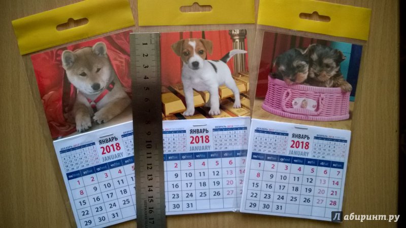 Иллюстрация 2 из 3 для 2018 Календарь "Год собаки. Щенки йоркширского терьера" (20840) | Лабиринт - сувениры. Источник: Оля-ля