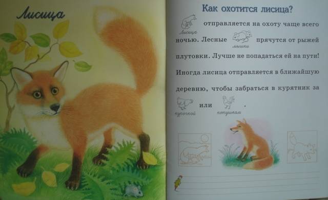 Иллюстрация 3 из 8 для Животный мир - О. Александрова | Лабиринт - книги. Источник: Настёна