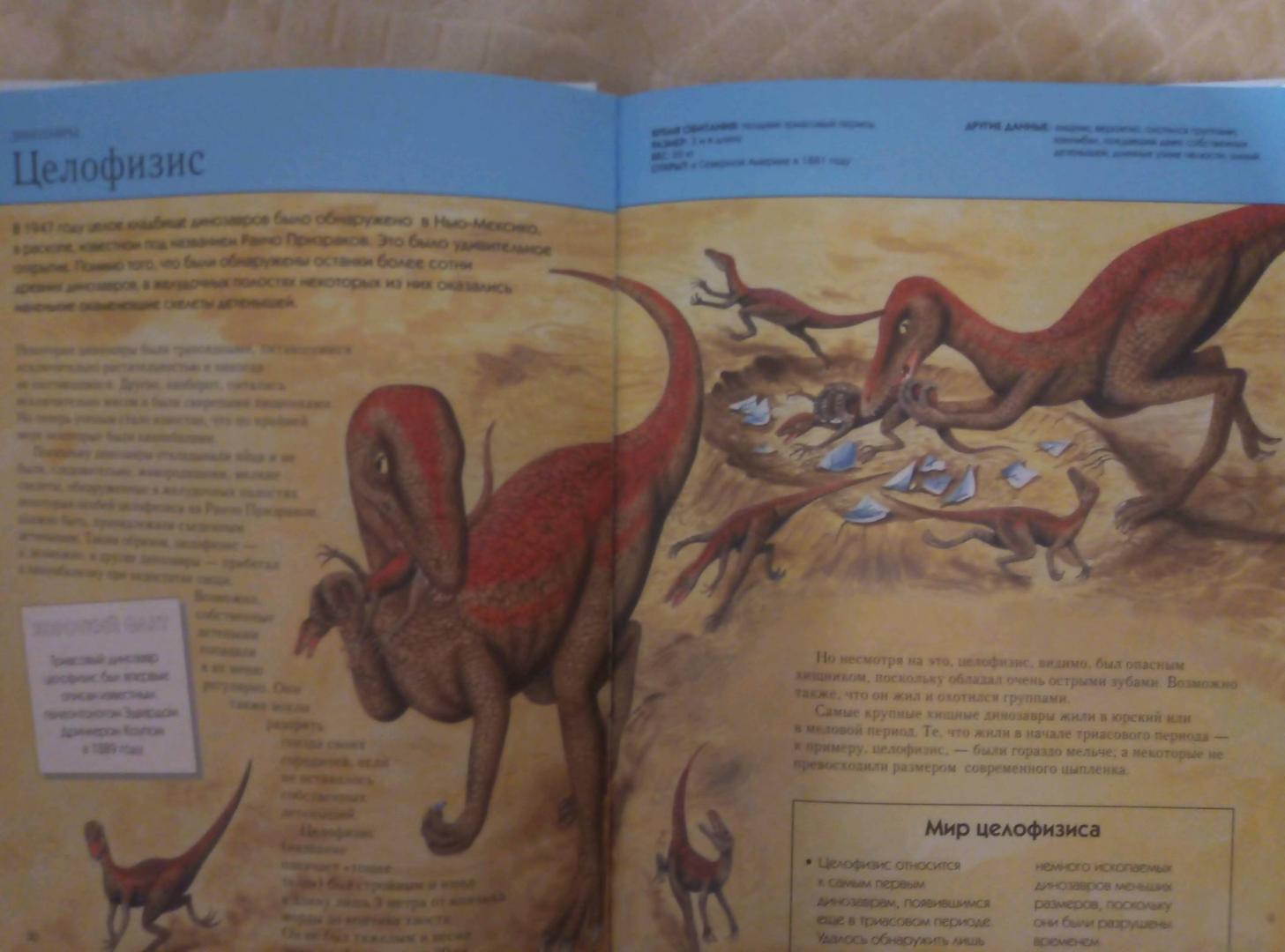 Иллюстрация 35 из 58 для Вымершие животные. Полная энциклопедия | Лабиринт - книги. Источник: Irina Vladimirovna