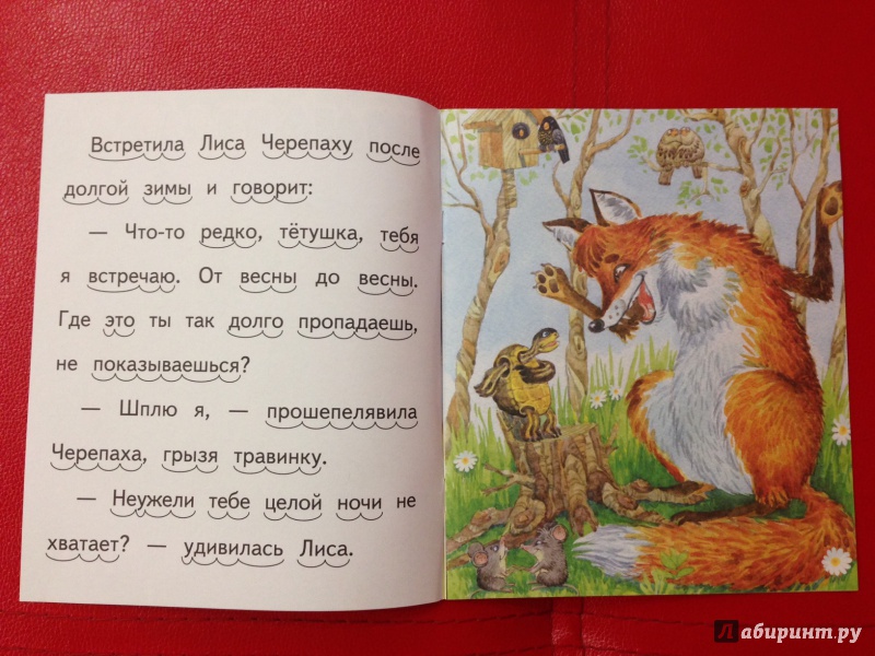 Иллюстрация 20 из 24 для Времена года - Николай Красильников | Лабиринт - книги. Источник: М.  Наташа