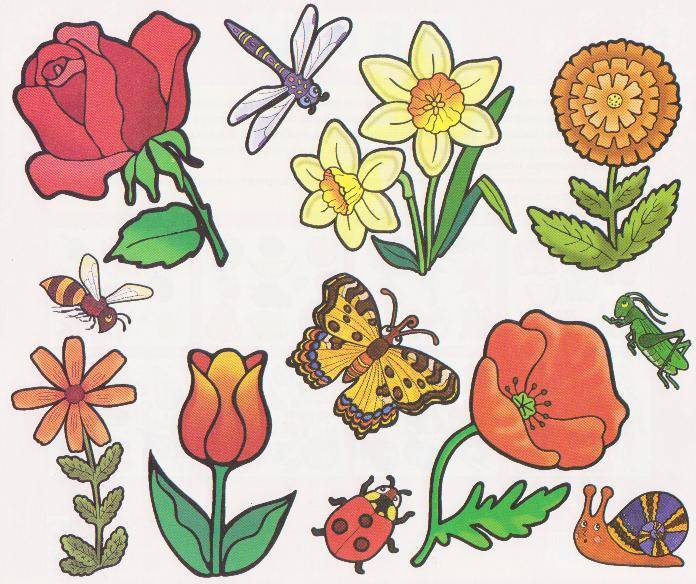 Иллюстрация 3 из 11 для Трафареты пластиковые. Цветы | Лабиринт - игрушки. Источник: Ёжик