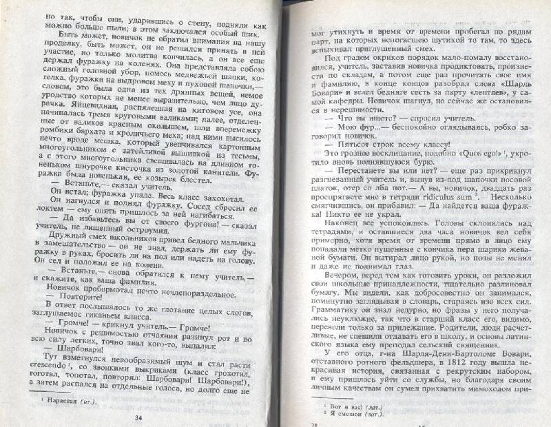 Иллюстрация 3 из 10 для Госпожа Бовари. Воспитание чувств - Гюстав Флобер | Лабиринт - книги. Источник: Пчёлка Майя