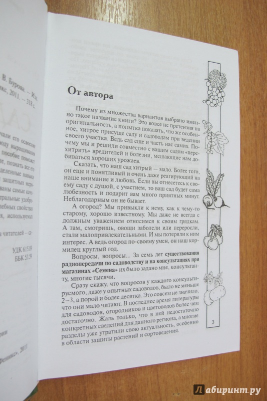 Иллюстрация 4 из 9 для Сад и огород для самых умных - Валентина Бурова | Лабиринт - книги. Источник: Hitopadesa