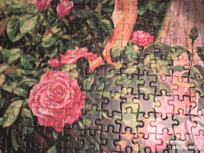 Иллюстрация 6 из 8 для Puzzle-1000 "В саду роз" (C-103126) | Лабиринт - игрушки. Источник: Роза с шипами